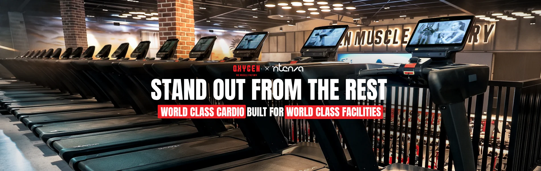 Elevate Your Elite Fitness Space